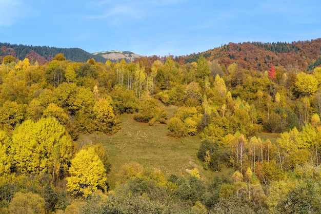 Matin d'automne Carpates calme scène pittoresque Ukraine Paisible voyage nature saisonnière et campagne beauté concept scène