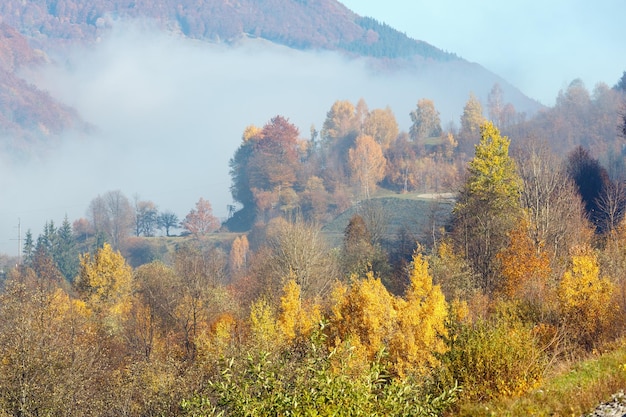 Matin d'automne Carpates Ukraine