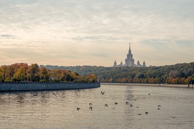 Matin d'automne sur les collines Sparrow Les oiseaux migrateurs volent au-dessus de la rivière de Moscou