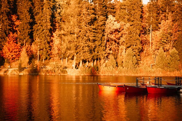 Photo matin automne vue sur le lac strbske pleso lac strbske dans le parc national des hautes tatras slovaquie paysage europe