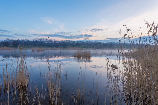 Matin brumeux au bord du lac