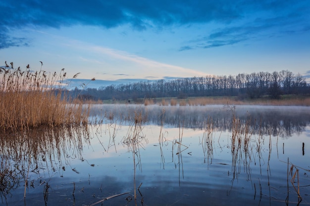 Matin brumeux au bord du lac