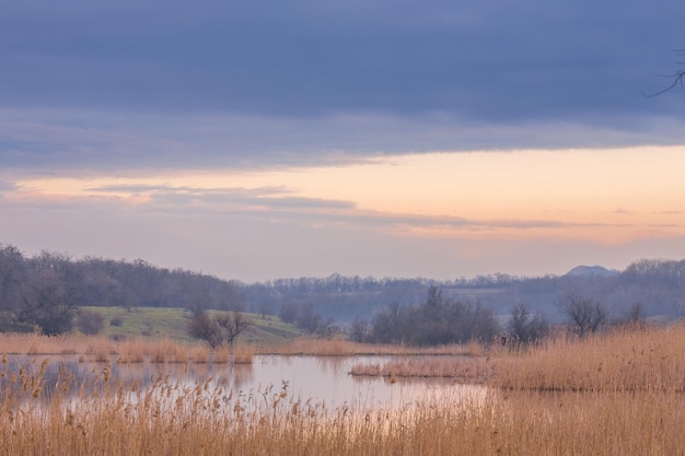 Matin brumeux au bord du lac