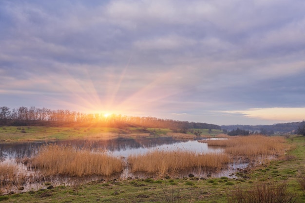 Matin brumeux au bord du lac