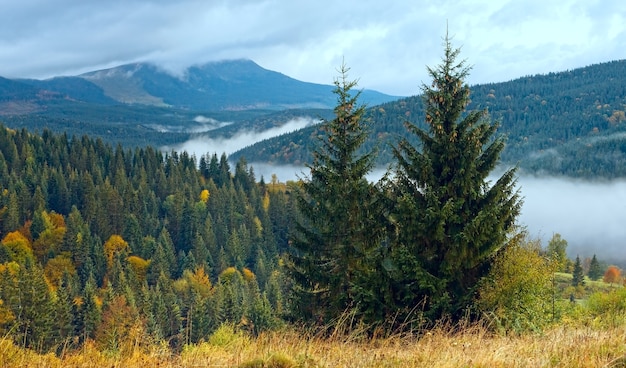 Matin brumeux en automne Carpates, Ukraine.