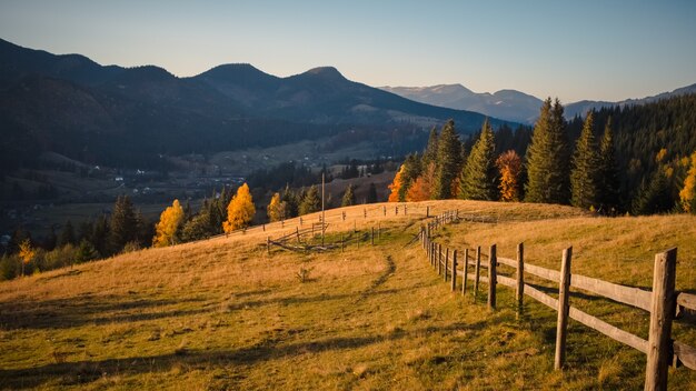 Matin brumeux dans les montagnes en automne, fraîcheur de la nature et arbres jaunes