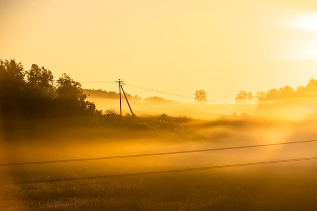 Matin brumeux sur le paysage de lever de soleil de prairie