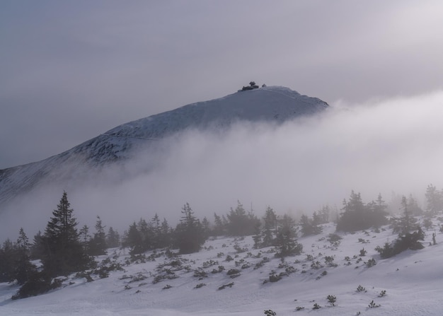 Matin brumeux sous la montagne Sniezka à Karkonosze pendant l'hiver en Pologne