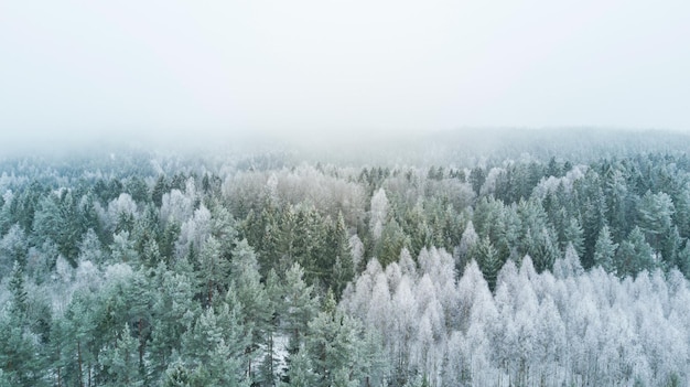 matin brumeux sur le terrain