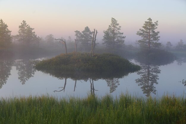 Photo matin brumeux à la tourbière de yelnya