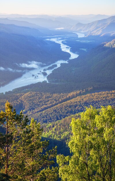 Matin dans les montagnes de l'Altaï sur la rivière Katun