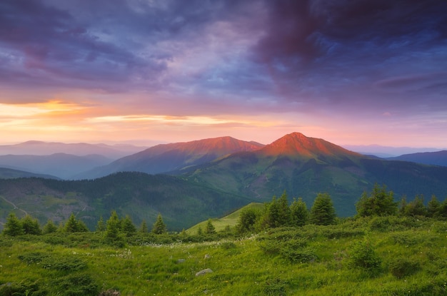 Matin dans les montagnes