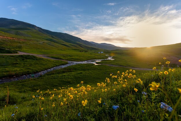 Matin dans une vallée de montagne