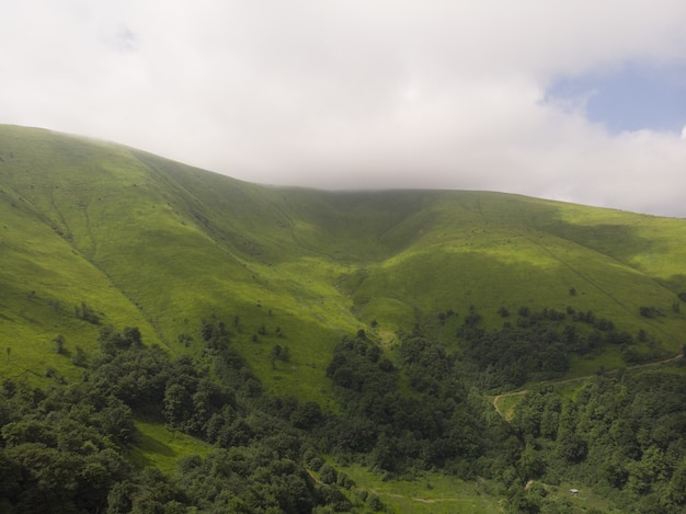 Matin d'été brumeux dans les montagnes des Carpates Ukraine Europe