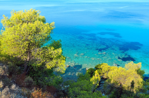 Matin été côte de la mer Égée avec pin sur la rive (Nikiti, Sithonia, Halkidiki, Grèce).