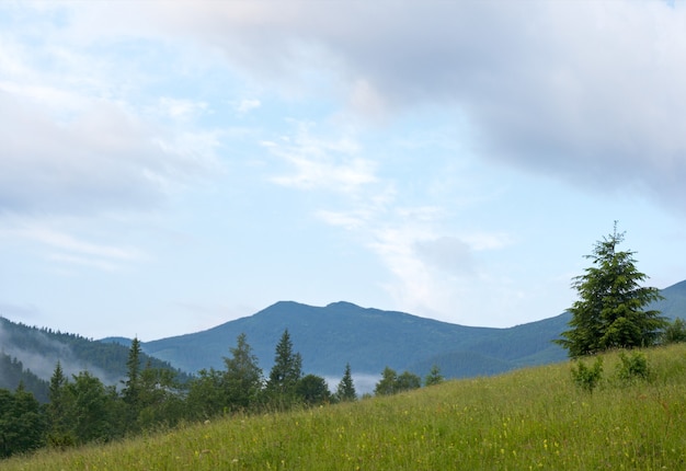 Matin et été à flanc de montagne