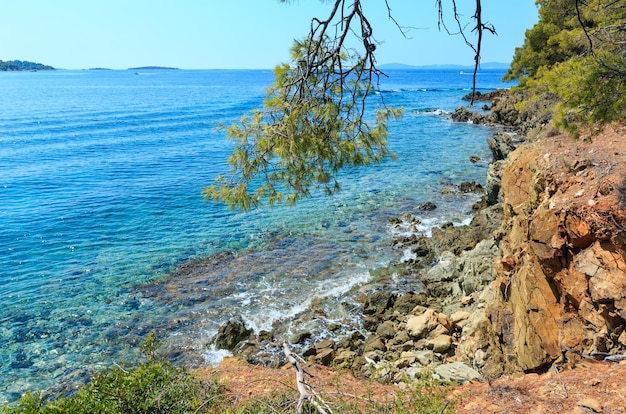 Matin été mer Égée côte rocheuse paysage avec des pins sur le rivage, Sithonia (près d'Ag. Kiriaki), Halkidiki, Grèce.