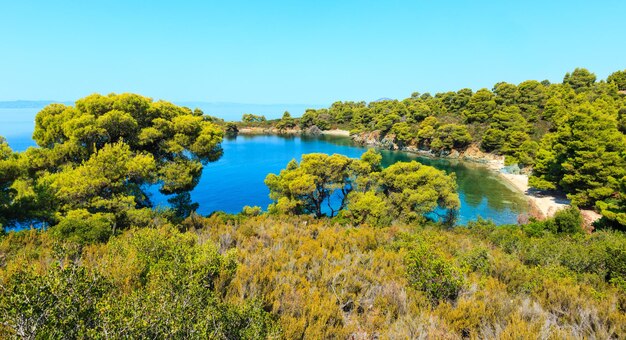 Matin d'été Mer Égée avec des pins sur le rivage et de petites plages, Sithonia (près d'Ag. Kiriaki), Halkidiki, Grèce.