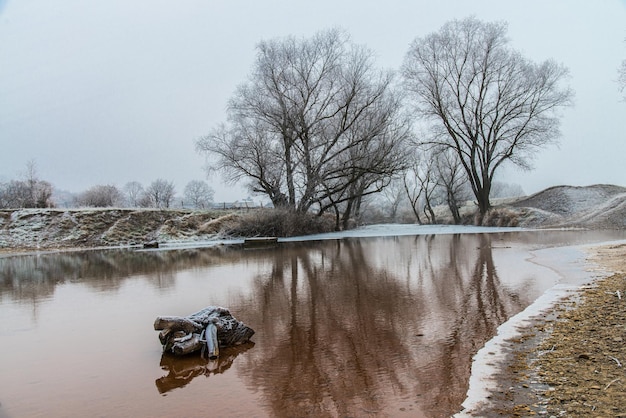 Matin glacial au bord de la rivière