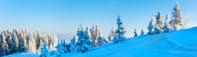 Matin hiver calme paysage panoramique de montagne avec des sapins sur la pente (Carpates, Ukraine). Trois clichés piquent l'image.