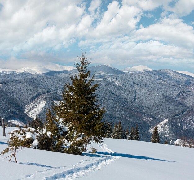 Photo matin d'hiver dans les montagnes des carpates en ukraine