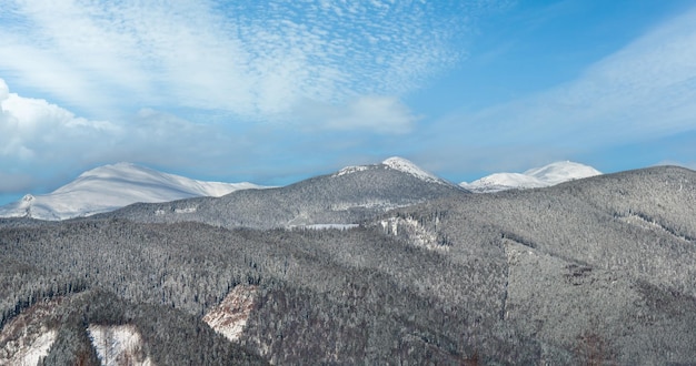 Photo le matin d'hiver, les montagnes des carpates, en ukraine