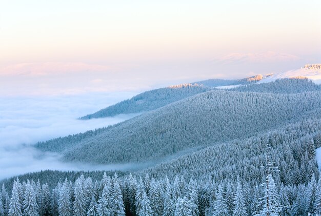 Matin hiver paysage de montagne calme avec forêt de sapins sur pente