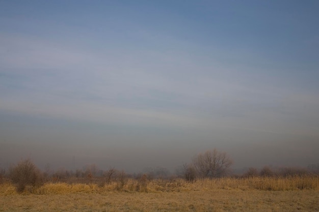 Un matin d'hiver sans nuages à la périphérie d'une grande ville.