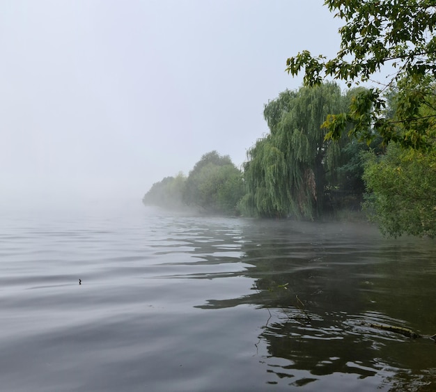 matin sur le lac