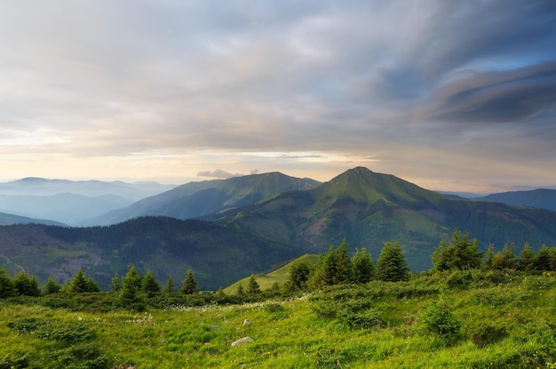 Matin à la montagne