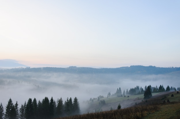 Matin à la montagne