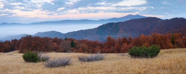 Matin nuageux dans les montagnes. Ranorama de paysage d'automne avec des forêts de hêtres. Carpates, Ukraine, Europe