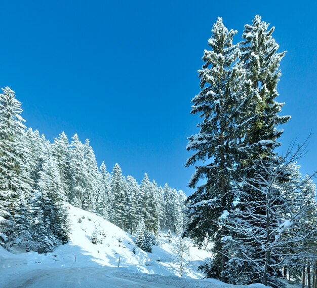 Matin paysage de montagne d'hiver avec forêt de sapins et route alpine.