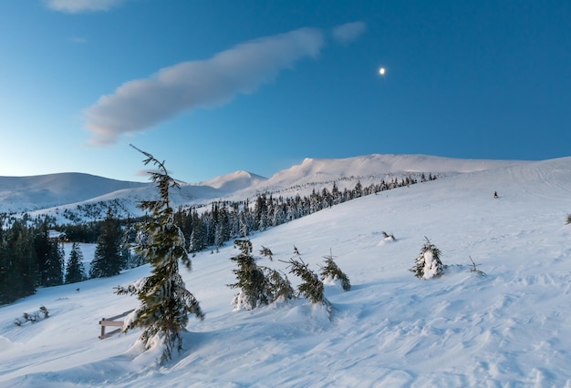 Matin paysage de montagne d'hiver avec nuages, lune et sapins sur la pente.