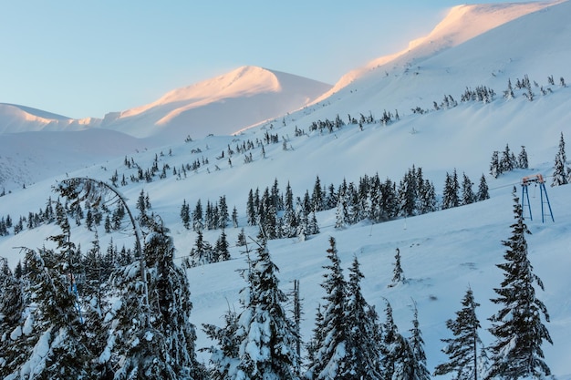 Matin paysage de montagne d'hiver avec sapins et téléski sur pente (Carpates).