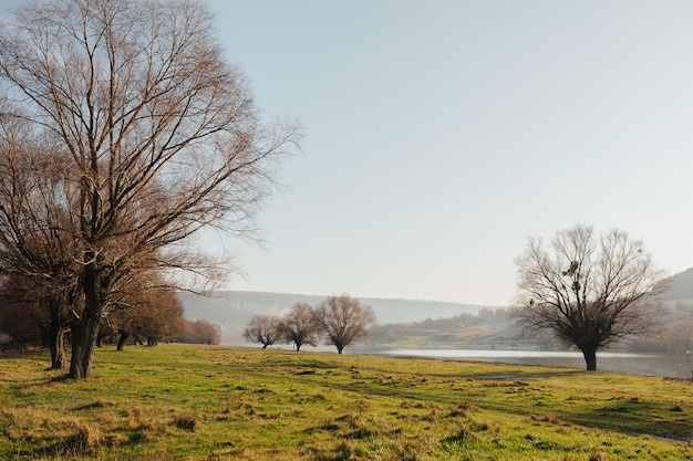 Matin de printemps ensoleillé dans une prairie verte au bord de la rivière.