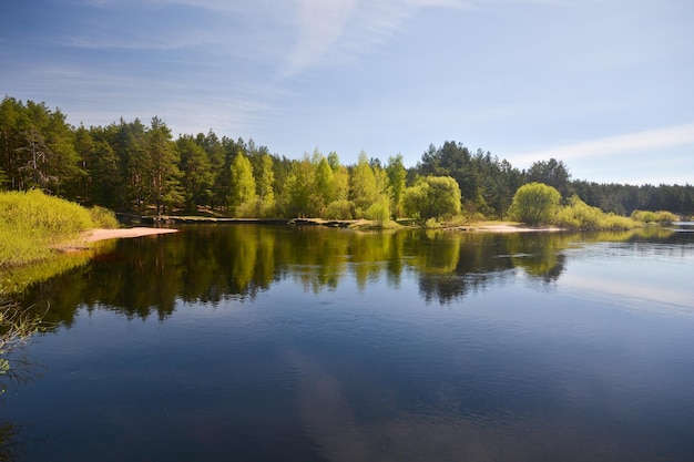 Matin de printemps sur la rivière de la forêt