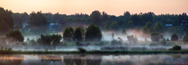 Matin sur la rivière tôt le matin roseaux brouillard brouillard et surface de l'eau sur la rivière Beau paysage naturel Voyage d'été