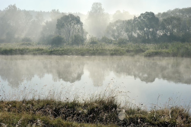 Matin sur la rivière