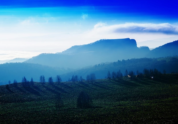 Matin vif horizontal dans le fond de paysage de montagnes