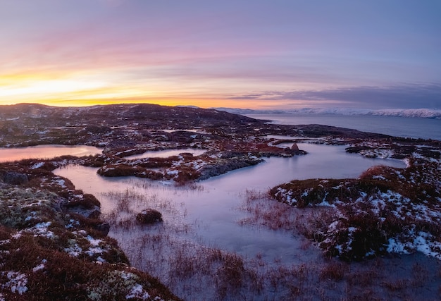 Matin vue sur une belle flaques d'eau et mousses gelées sur le roc