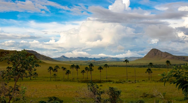 maytreas jardin chapada dos veadeiros brésil