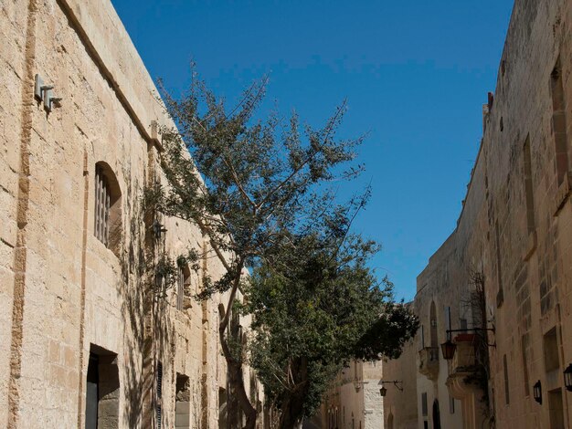 Mdina sur l'île de Malte