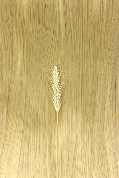 Mèche de cheveux blonds avec des brins de blé mûr sur blanc Cheveux bouclés Cheveux blonds ondulés sur fond blanc Service de coiffure force de cheveux coupe de cheveux coiffure Extensions de cheveux matériaux cosmétiques