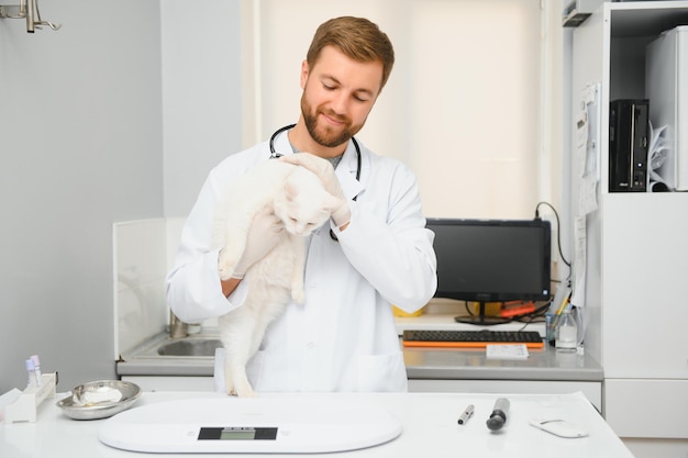 Un médecin examine un chat malade Concept de clinique vétérinaire Services d'un médecin pour la santé des animaux et le traitement des animaux de compagnie