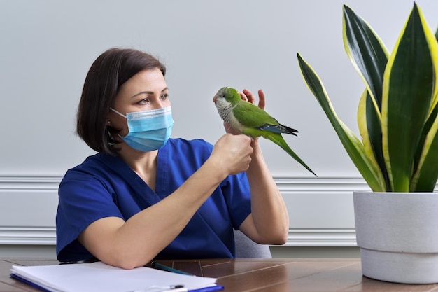 Médecin femme vétérinaire examinant un perroquet Quaker vert Oiseau de compagnie lors d'un examen à la clinique vétérinaire