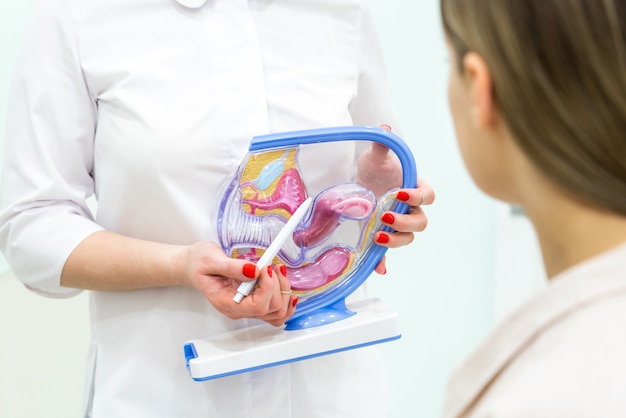 Médecin gynécologue consultant patient à l'aide d'un modèle d'anatomie utérine