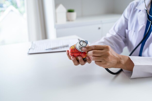 Le médecin avec le modèle anatomique du cœur humain le cardiologue soutient le cœur le cœur diagnostique le contrôle médical du cardiologue dans la salle d'examen