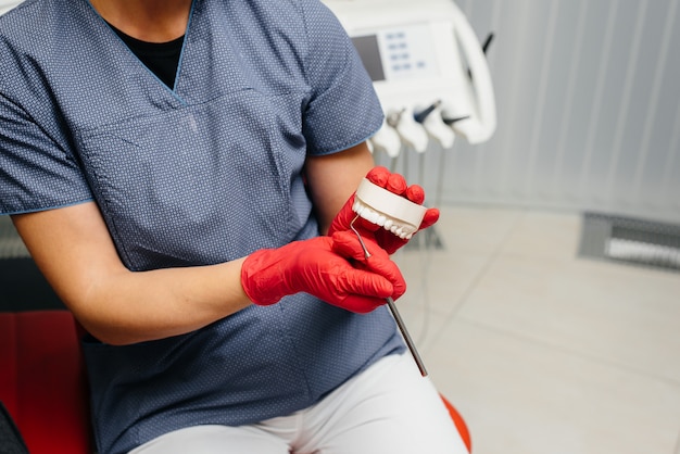 Le médecin montre un plâtre de la mâchoire du patient. Dentisterie.