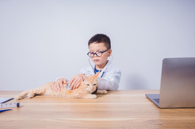 Médecin de sexe masculin asiatique examinant un chat